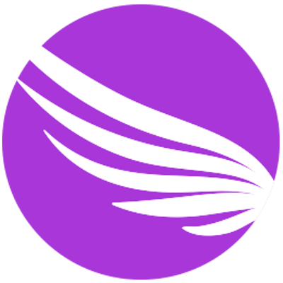 Mercury Team