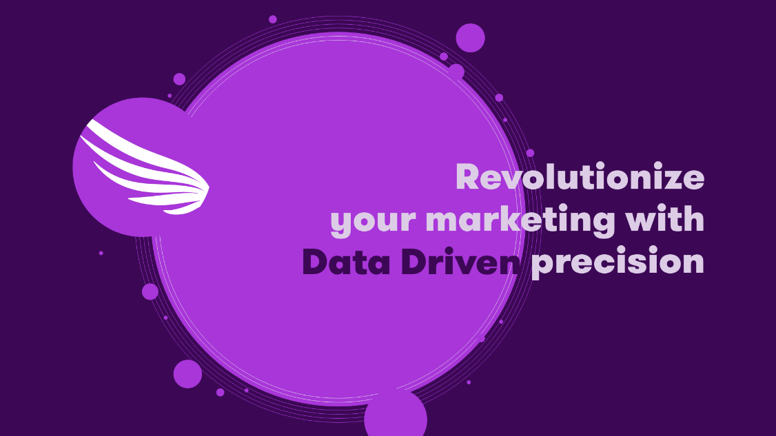 Revolutionize your marketing with data driven precision